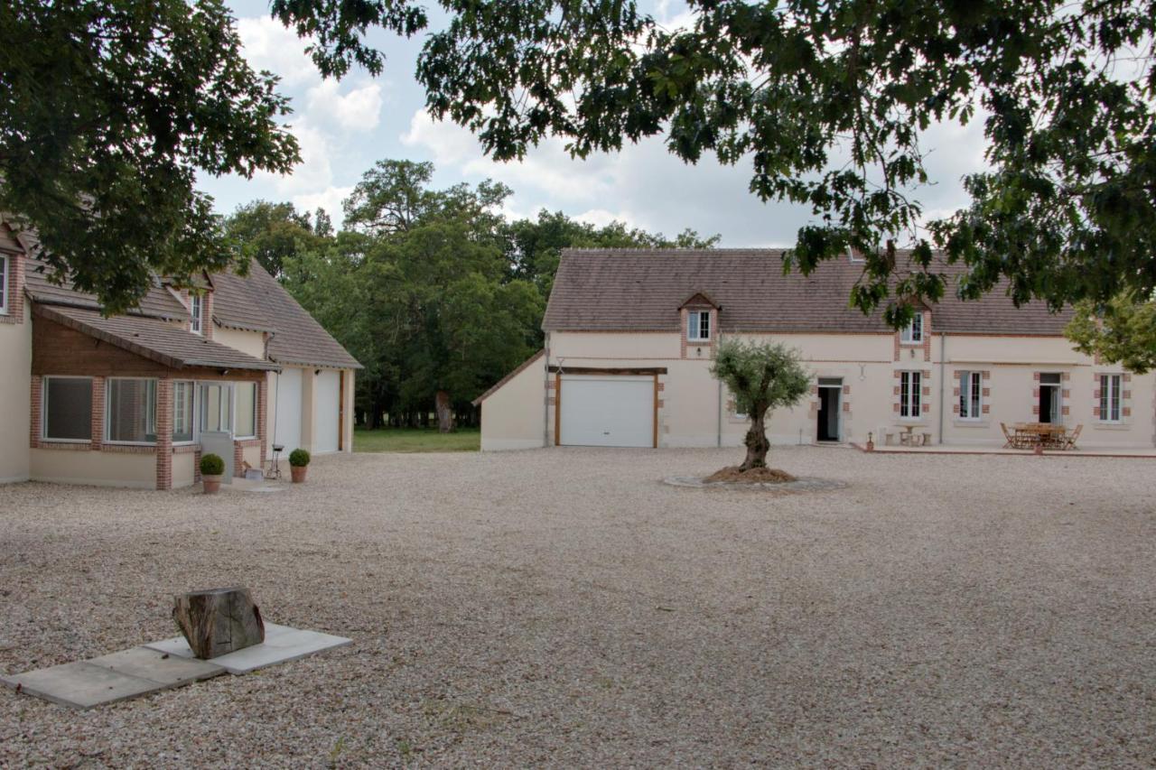 Gite De Villaine Theillay Bagian luar foto